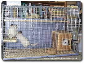 chinchilla cage cost